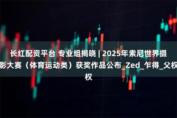 长红配资平台 专业组揭晓 | 2025年索尼世界摄影大赛（体育运动类）获奖作品公布_Zed_乍得_父权