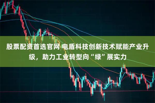 股票配资首选官网 电盾科技创新技术赋能产业升级，助力工业转型向“绿”展实力